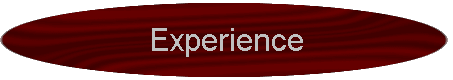 Experience